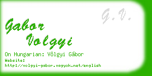 gabor volgyi business card